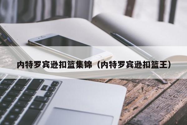 内特罗宾逊扣篮集锦（内特罗宾逊扣篮王）插图