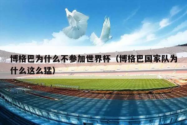 博格巴为什么不参加世界杯（博格巴国家队为什么这么猛）插图