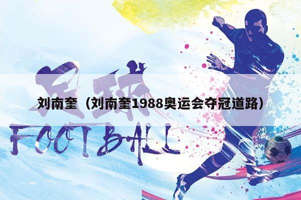 刘南奎（刘南奎1988奥运会夺冠道路）插图