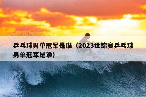 乒乓球男单冠军是谁（2023世锦赛乒乓球男单冠军是谁）插图