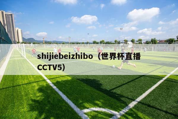 shijiebeizhibo（世界杯直播CCTV5）插图