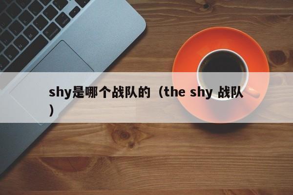 shy是哪个战队的（the shy 战队）插图