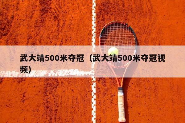 武大靖500米夺冠（武大靖500米夺冠视频）插图