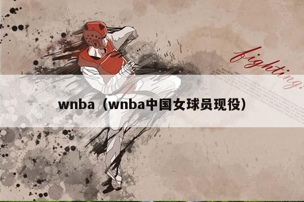 wNBA（wNBA中国女球员现役）插图