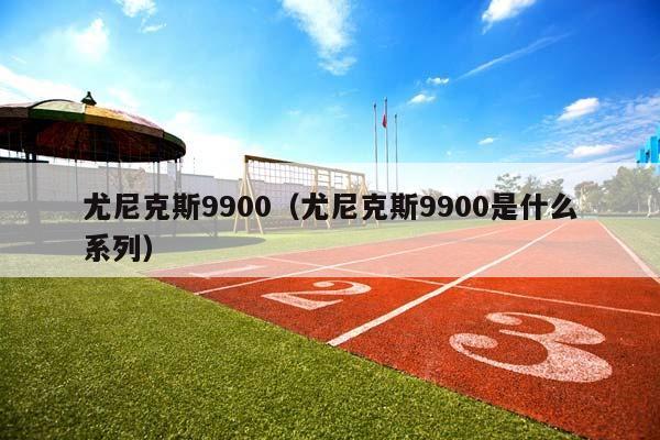 尤尼克斯9900（尤尼克斯9900是什么系列）插图