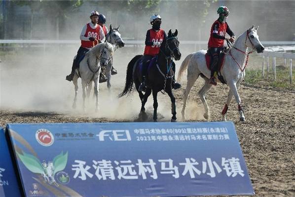 中国马术协会耐力达标赛在永清开赛 国际马联精英骑手贾惠林任赛事总指挥插图