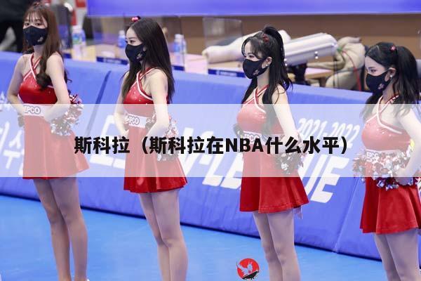 斯科拉（斯科拉在NBA什么水平）插图