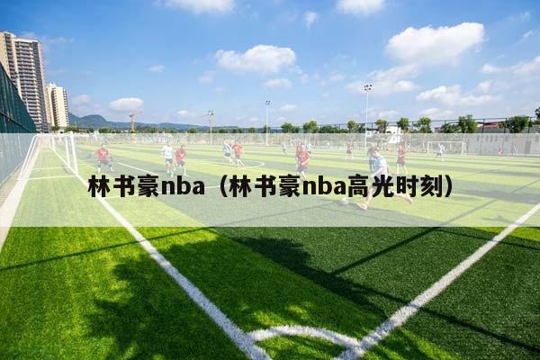 林书豪NBA（林书豪NBA高光时刻）插图