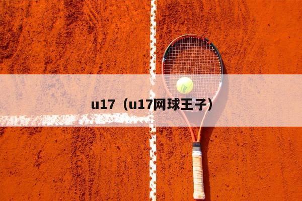 u17（u17网球王子）插图