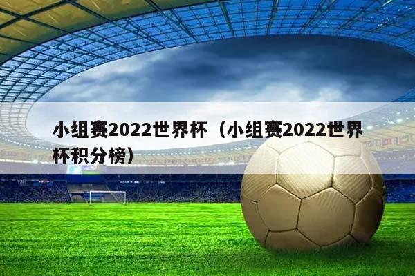 小组赛2023世界杯（小组赛2023世界杯积分榜）插图