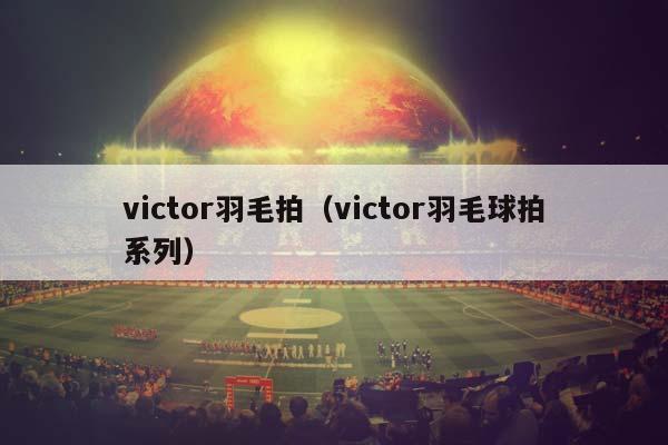 victor羽毛拍（victor羽毛球拍系列）插图