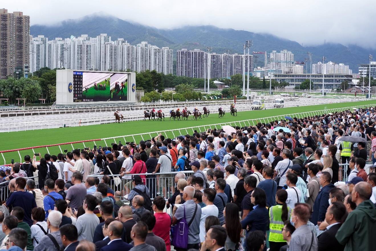 香港新赛马季开锣 风雨无阻马迷热情插图
