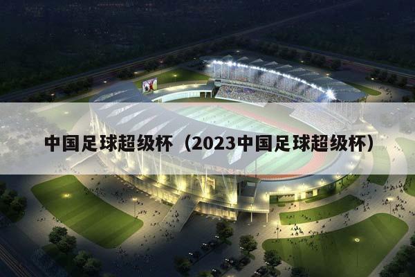 中国足球超级杯（2023中国足球超级杯）插图