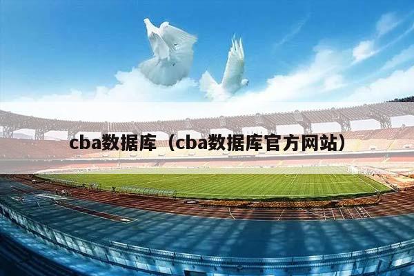 CBA数据库（CBA数据库官方网站）插图