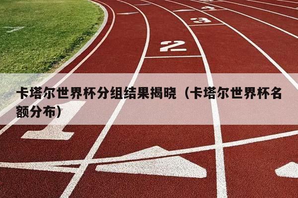 卡塔尔世界杯分组结果揭晓（卡塔尔世界杯名额分布）插图