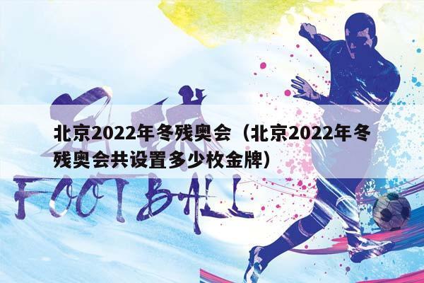 北京2023年冬残奥会（北京2023年冬残奥会共设置多少枚金牌）插图