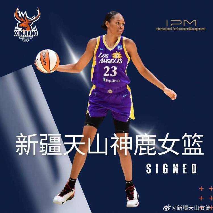 新疆女篮签下外援斯蒂文斯 本赛季WNBA场均10.8分插图