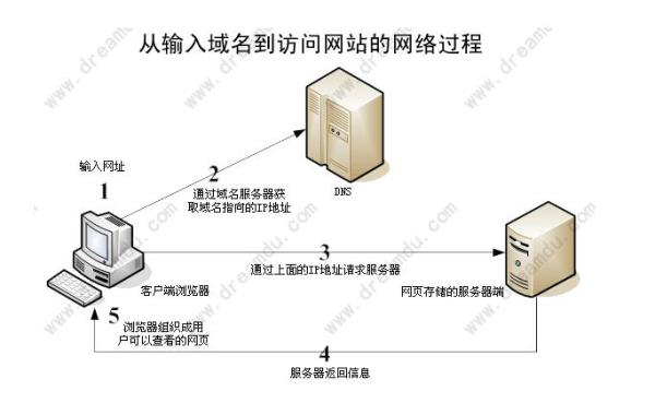 f3322域名(f3322域名解析)插图