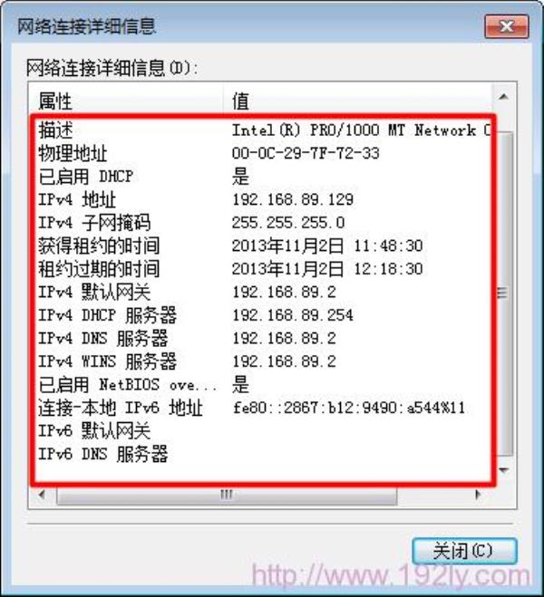 服务器ip域名是什么(服务器ip地址是什么)插图