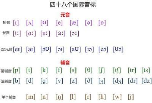 国际域名注册平台(国际域名注册证书查询)插图