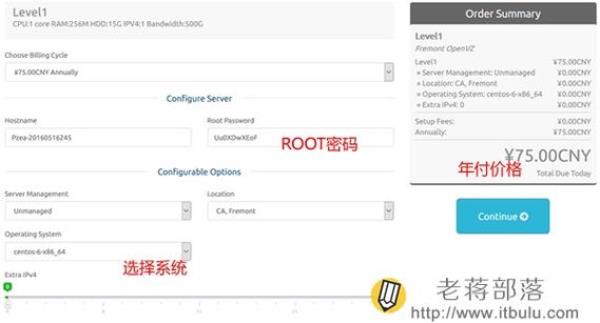 美国vps主机怎么选(美国vps 最便宜)插图