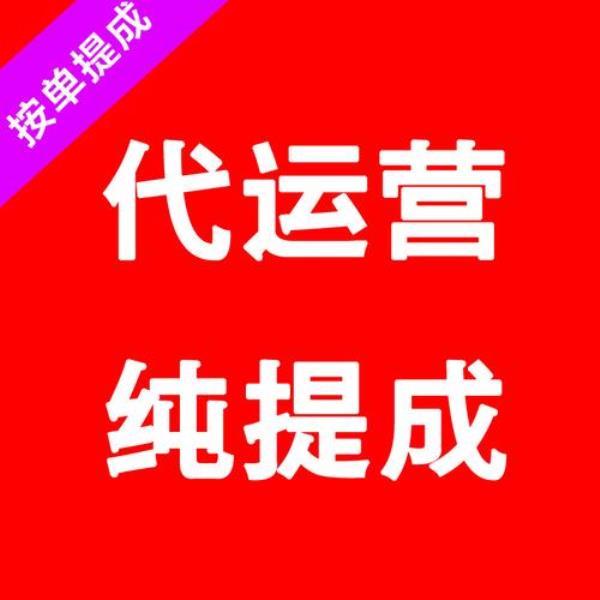 企业网站托管代运营(代运营网店托管)插图