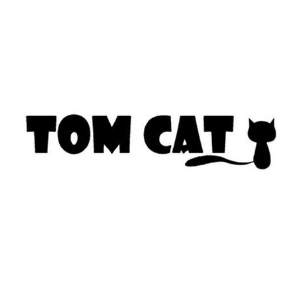 tomcat(tomcat官网)插图