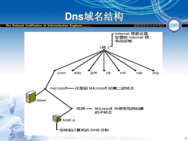 域名中表示服务器(域名中表示服务器的是哪个段)插图