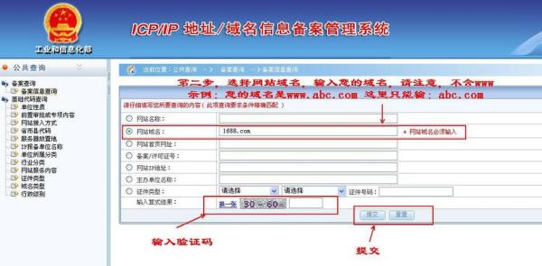 查询最新域名(查询最新域名网站)插图