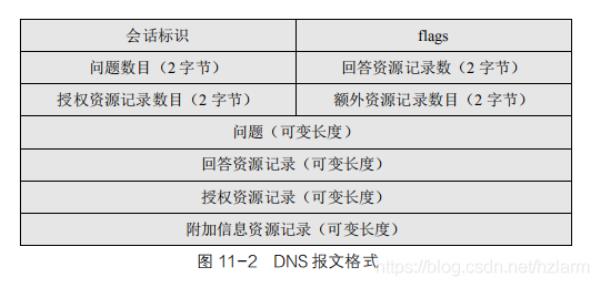 什么用于域名解析(域名解析采用什么算法)插图