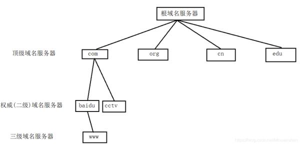 顶级域名服务器和根域名服务器(顶级域名服务器和根域名服务器哪个好)插图