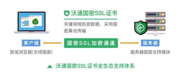 免费ssl证书地址(ssl证书免费和收费区别)插图