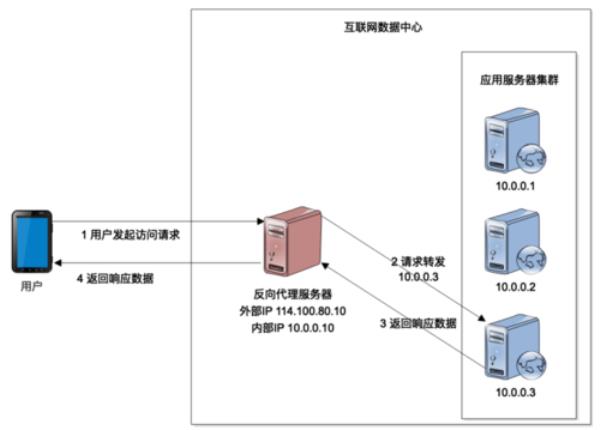 搭建dns解析服务器ip(自建dns解析服务器好处)插图