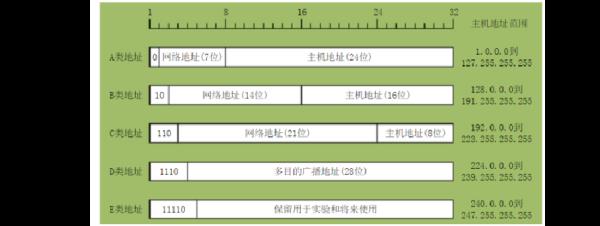 网鱼域名解析(网址域名解析ip)插图