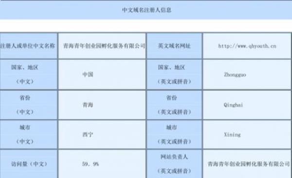 英文域名和中文域名的区别(域名中文好还是英文好)插图