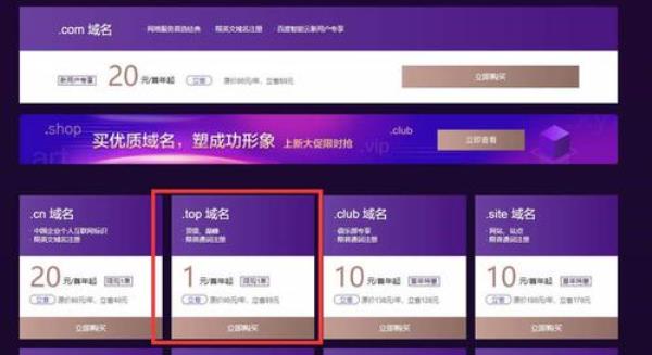 上海top域名优惠(top域名好吗)插图