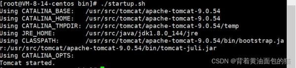 tomcat做反向代理服务器(tomcat反向代理配置)插图